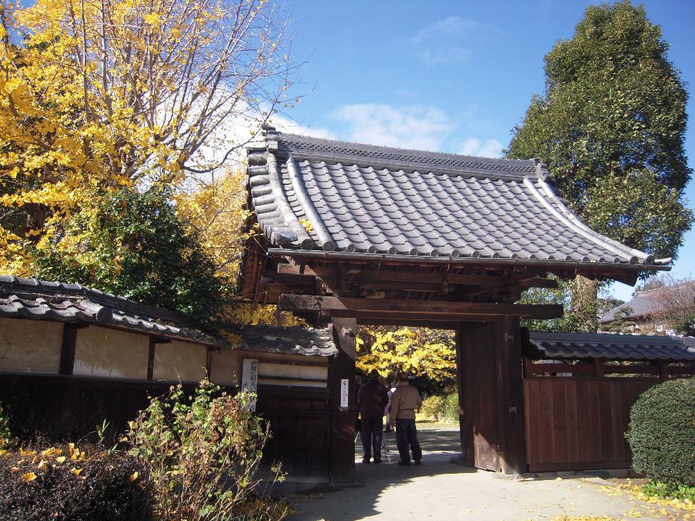 祖父江銀杏 018.jpg